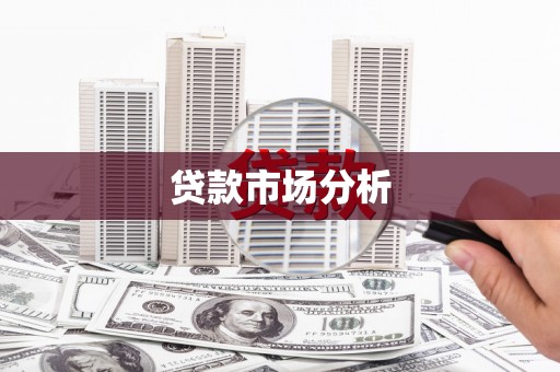 扶绥贷款市场分析