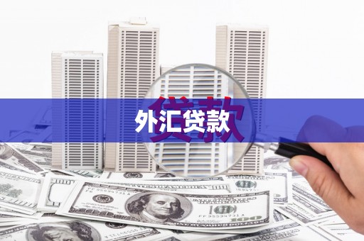 扶绥外汇贷款