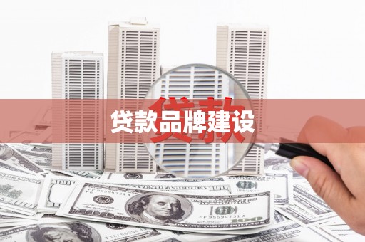 扶绥贷款品牌建设