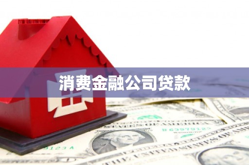 扶绥消费金融公司贷款