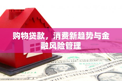 扶绥购物贷款，消费新趋势与金融风险管理