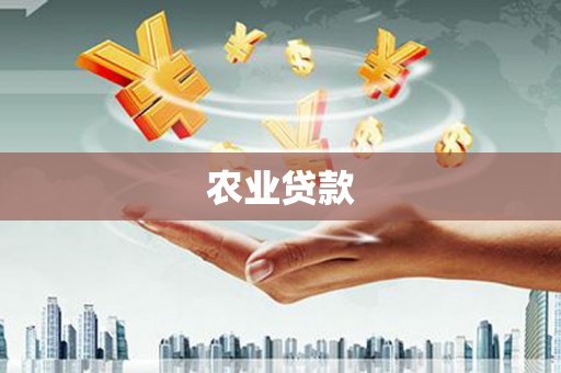 扶绥农业贷款