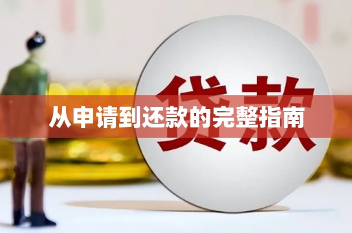 扶绥从申请到还款的完整指南