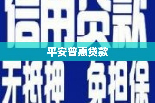 扶绥平安普惠贷款