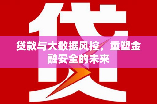 扶绥贷款与大数据风控，重塑金融安全的未来