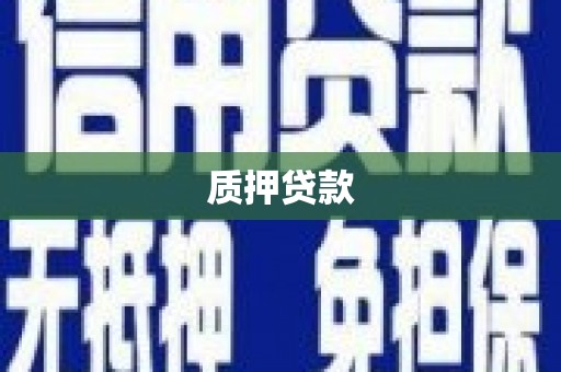 扶绥质押贷款