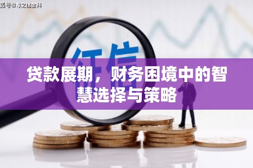 扶绥贷款展期，财务困境中的智慧选择与策略