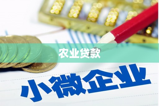 扶绥农业贷款