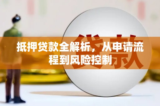 扶绥抵押贷款全解析，从申请流程到风险控制