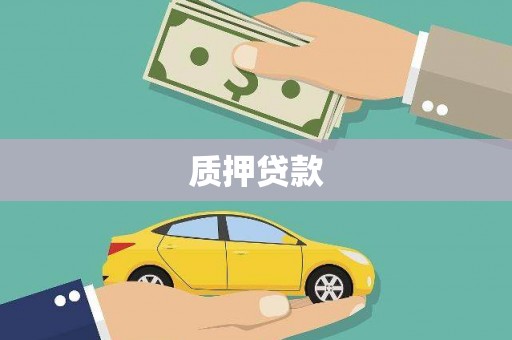 扶绥质押贷款