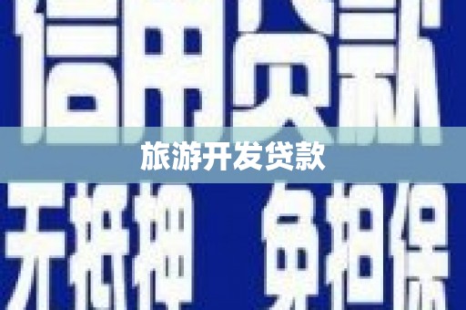 扶绥旅游开发贷款