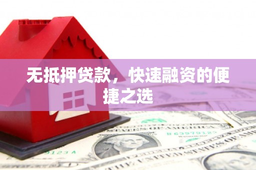 扶绥无抵押贷款，快速融资的便捷之选