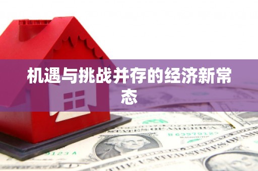 扶绥机遇与挑战并存的经济新常态