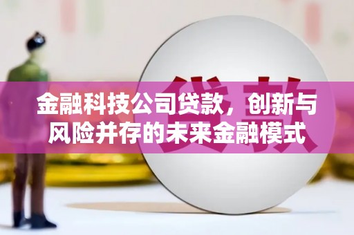 扶绥金融科技公司贷款，创新与风险并存的未来金融模式