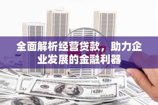 扶绥全面解析经营贷款，助力企业发展的金融利器