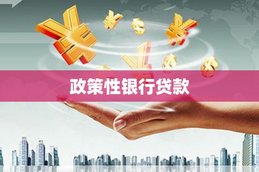 扶绥政策性银行贷款