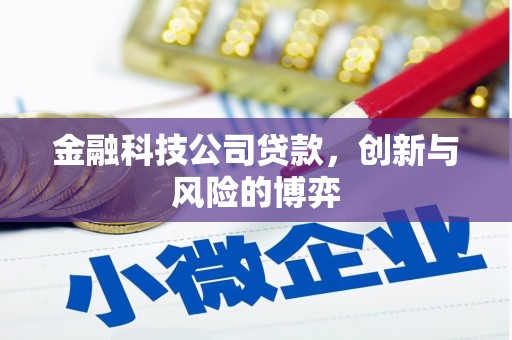 扶绥金融科技公司贷款，创新与风险的博弈