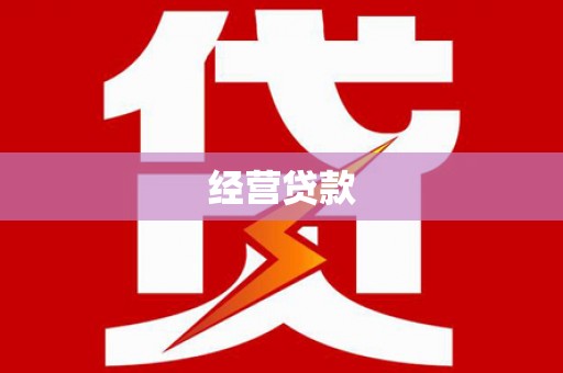 扶绥经营贷款