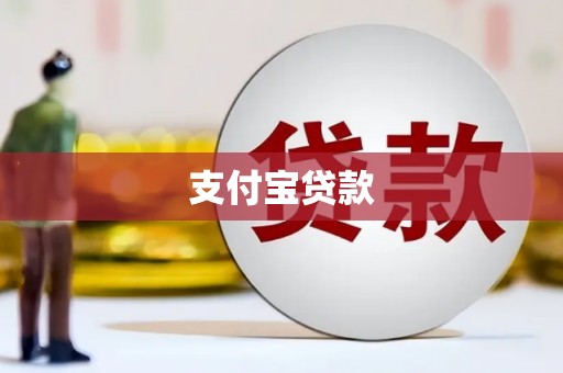 扶绥支付宝贷款