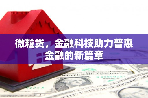 扶绥微粒贷，金融科技助力普惠金融的新篇章