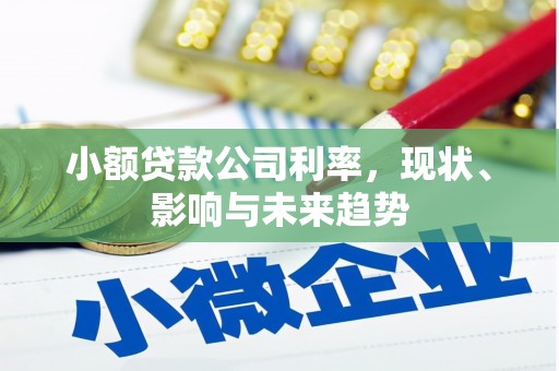 扶绥小额贷款公司利率，现状、影响与未来趋势