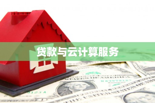 扶绥贷款与云计算服务