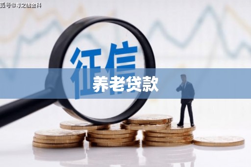 扶绥养老贷款