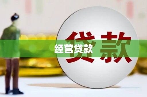 扶绥经营贷款