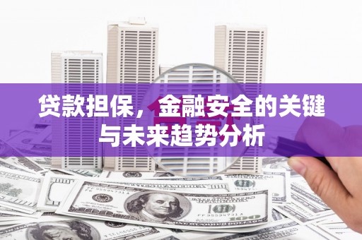 扶绥贷款担保，金融安全的关键与未来趋势分析