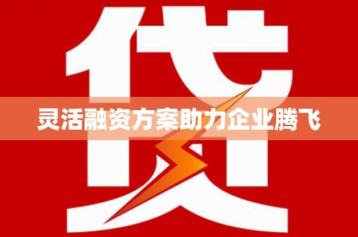 扶绥灵活融资方案助力企业腾飞