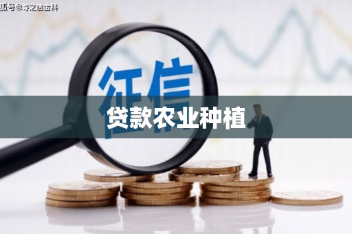 扶绥贷款农业种植