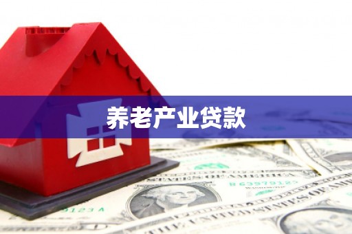 扶绥养老产业贷款