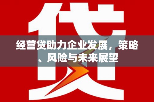 扶绥经营贷助力企业发展，策略、风险与未来展望