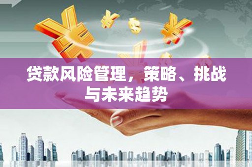 扶绥贷款风险管理，策略、挑战与未来趋势