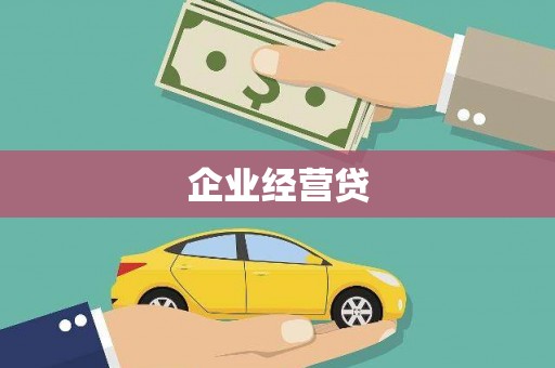 扶绥企业经营贷