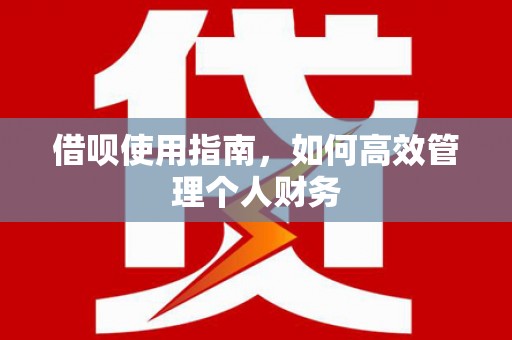 扶绥借呗使用指南，如何高效管理个人财务