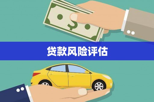 扶绥贷款风险评估