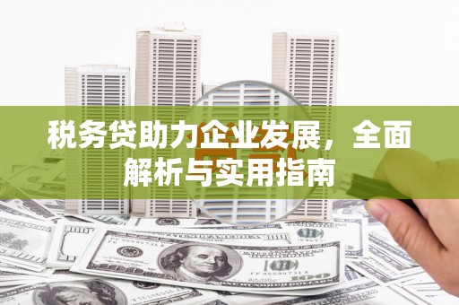 扶绥税务贷助力企业发展，全面解析与实用指南
