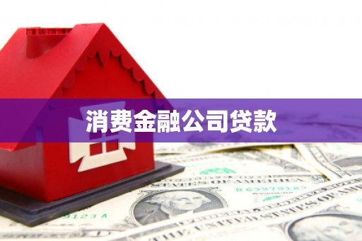 扶绥消费金融公司贷款