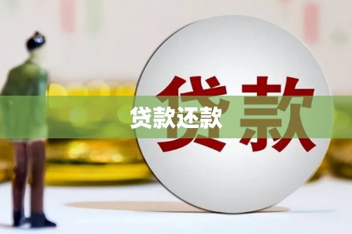 扶绥贷款还款