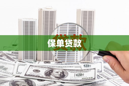 扶绥保单贷款