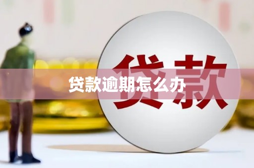 扶绥贷款逾期怎么办