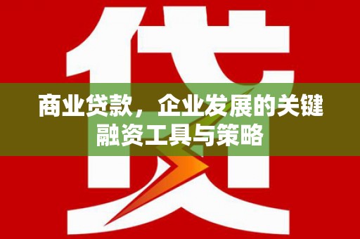 扶绥商业贷款，企业发展的关键融资工具与策略