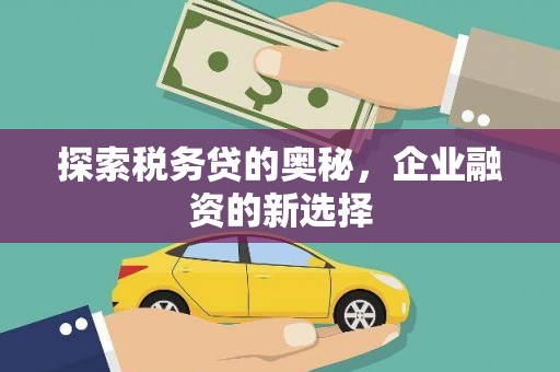 扶绥探索税务贷的奥秘，企业融资的新选择