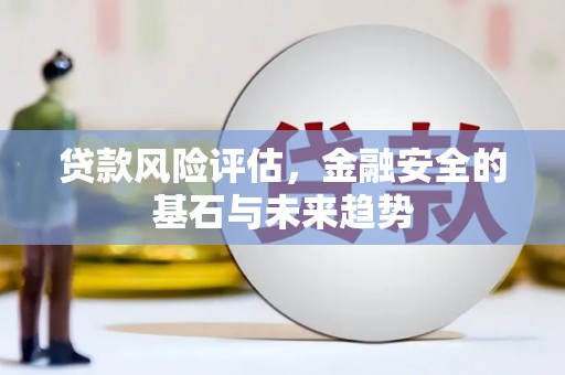 扶绥贷款风险评估，金融安全的基石与未来趋势