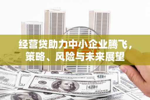 扶绥经营贷助力中小企业腾飞，策略、风险与未来展望