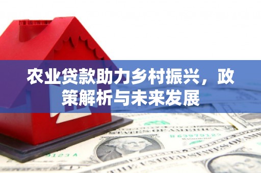 扶绥农业贷款助力乡村振兴，政策解析与未来发展
