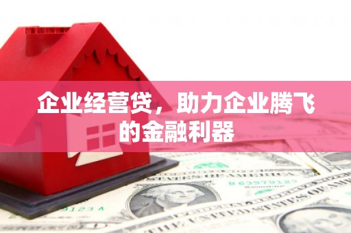 扶绥企业经营贷，助力企业腾飞的金融利器
