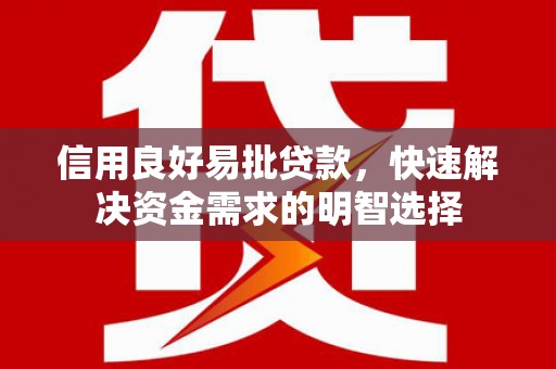 扶绥信用良好易批贷款，快速解决资金需求的明智选择