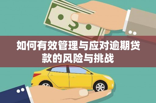 扶绥如何有效管理与应对逾期贷款的风险与挑战